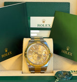 Rolex - Pre-owned Two Tone Yellow Gold Sky-Dweller Champagne Dial Oyster Bracelet 326933