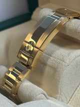 Rolex - Unworn Yellow Gold Daytona Green Dial "John Mayer" 116508