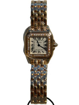 Cartier - Unworn Panthère De Cartier Small 22 x 30mm White Dial Diamond Bezel WJPN0049